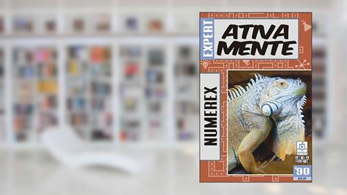 Capa de 90-Numerex-expert, do autor Castelo Editora