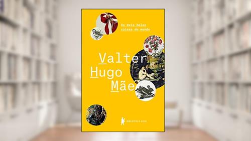 Capa de As mais belas coisas do mundo, do autor Valter Hugo Mãe