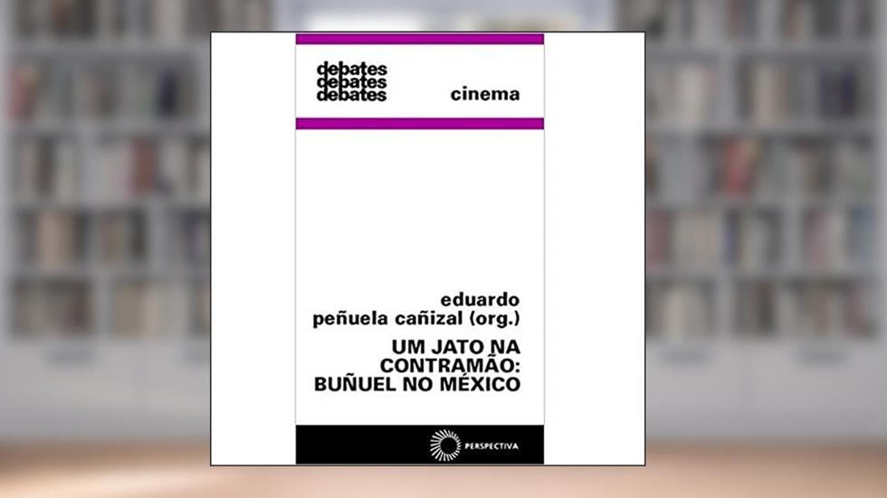 UM JATO NA CONTRAMAO, do autor Eduardo Peñuela Cañizal