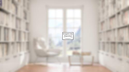 Capa de Os Seguranças do Alheio, do autor Diogo Vaz