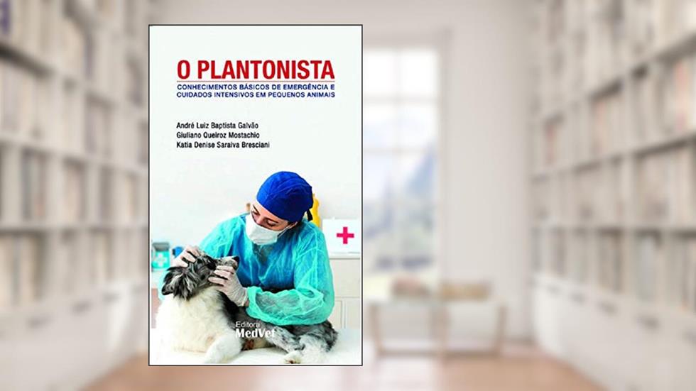 O Plantonista, do autor Galvao