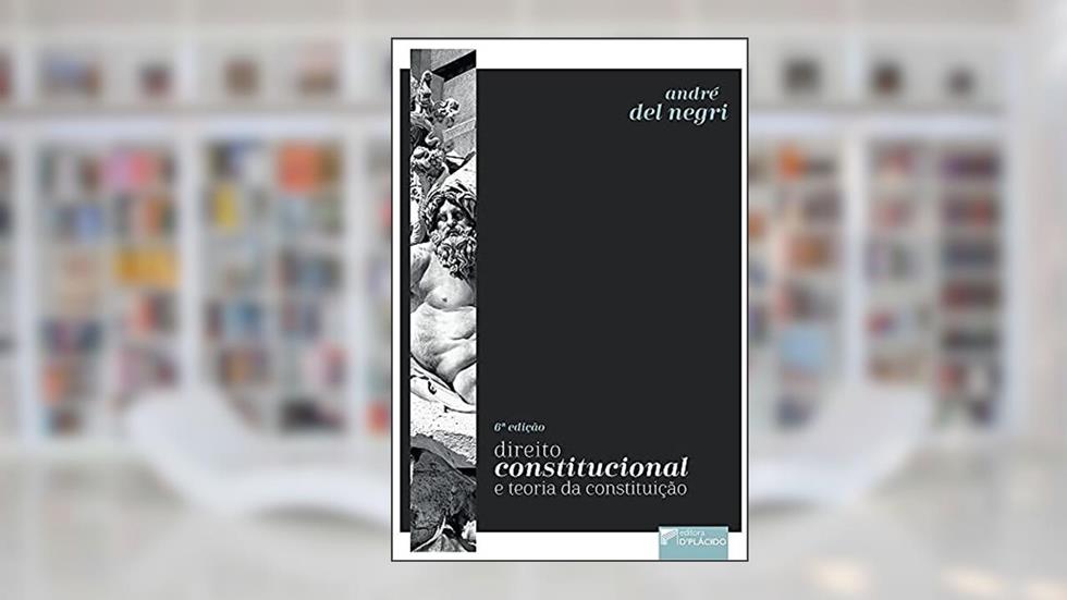 Direito Constitucional e Teoria da Constituição, do autor André Del Negri