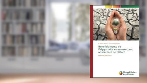 Capa de Beneficiamento de Palygorskita e seu uso como adsorvente de fósforo: (sem subtítulo), do autor Gabriela Monice Arruda Rodrigues