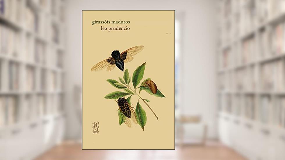 Girassóis Maduros, do autor Léo Prudêncio