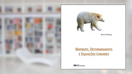 Capa de Matrizes, Determinantes e Equaçoes Lineares. Fundamentos, do autor Bruno Wiering