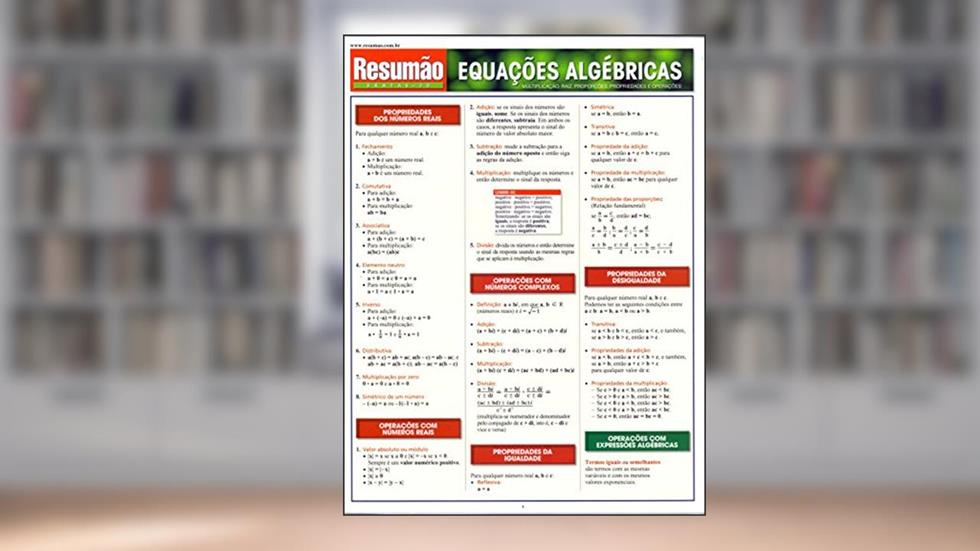 Equações Algébricas, do autor S. B. Kizlik