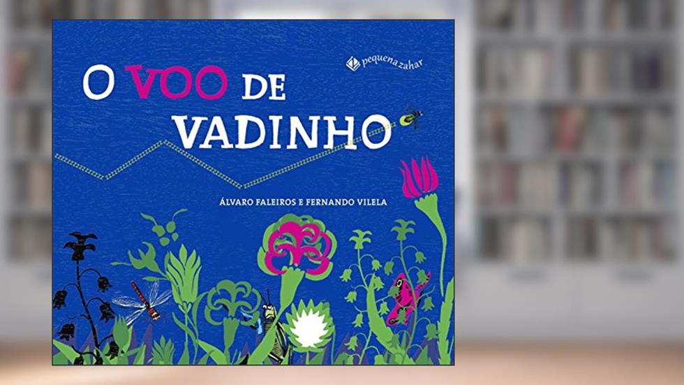 O voo de Vadinho, do autor Álvaro Faleiros; Fernando Vilela