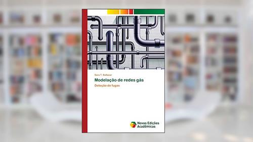 Capa de Modelação de redes gás: Deteção de fugas, do autor Sara T. Baltazar