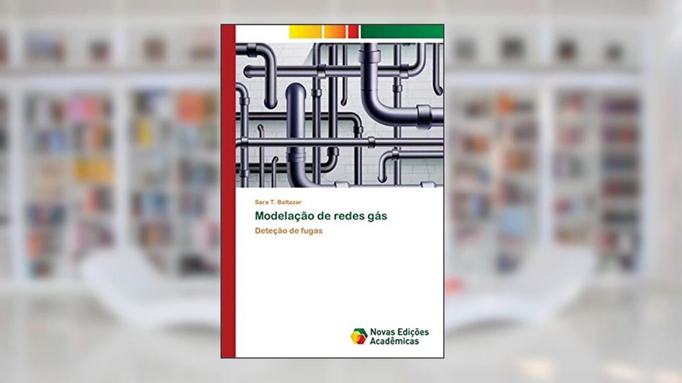 Modelação de redes gás: Deteção de fugas, do autor Sara T. Baltazar