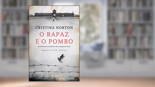 Capa de O Rapaz e o Pombo, do autor Cristina Norton
