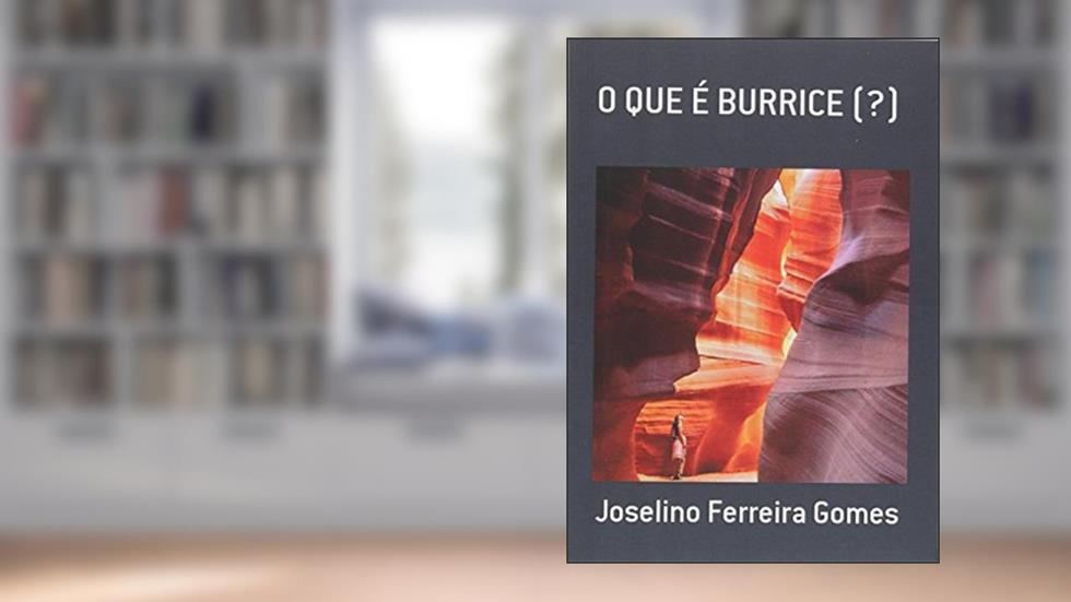 O que É Burrice?, do autor Joselino Ferreira Gomes