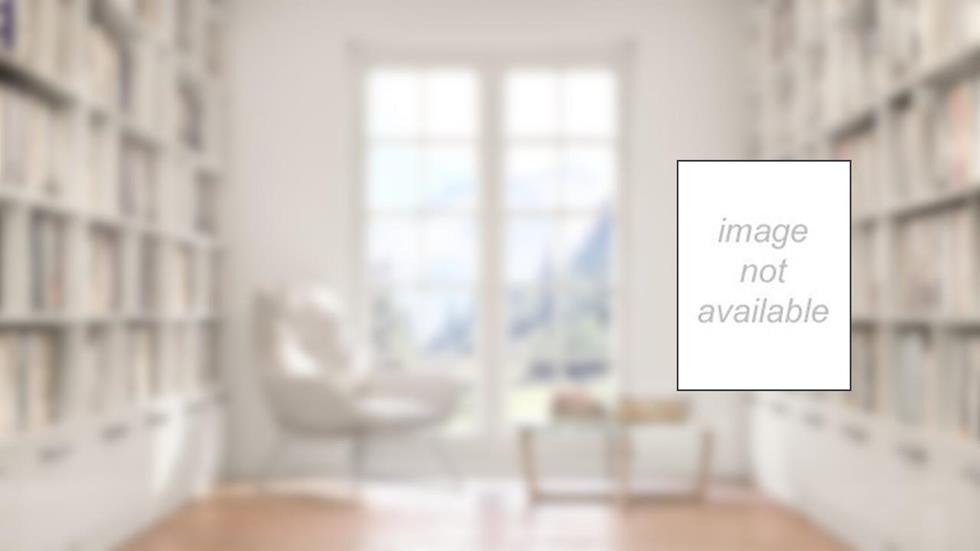 Burrice, do autor Elisabete Ribeiro