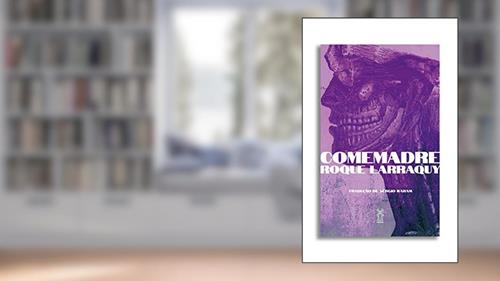 Capa de Comemadre, do autor Roque Larraquy