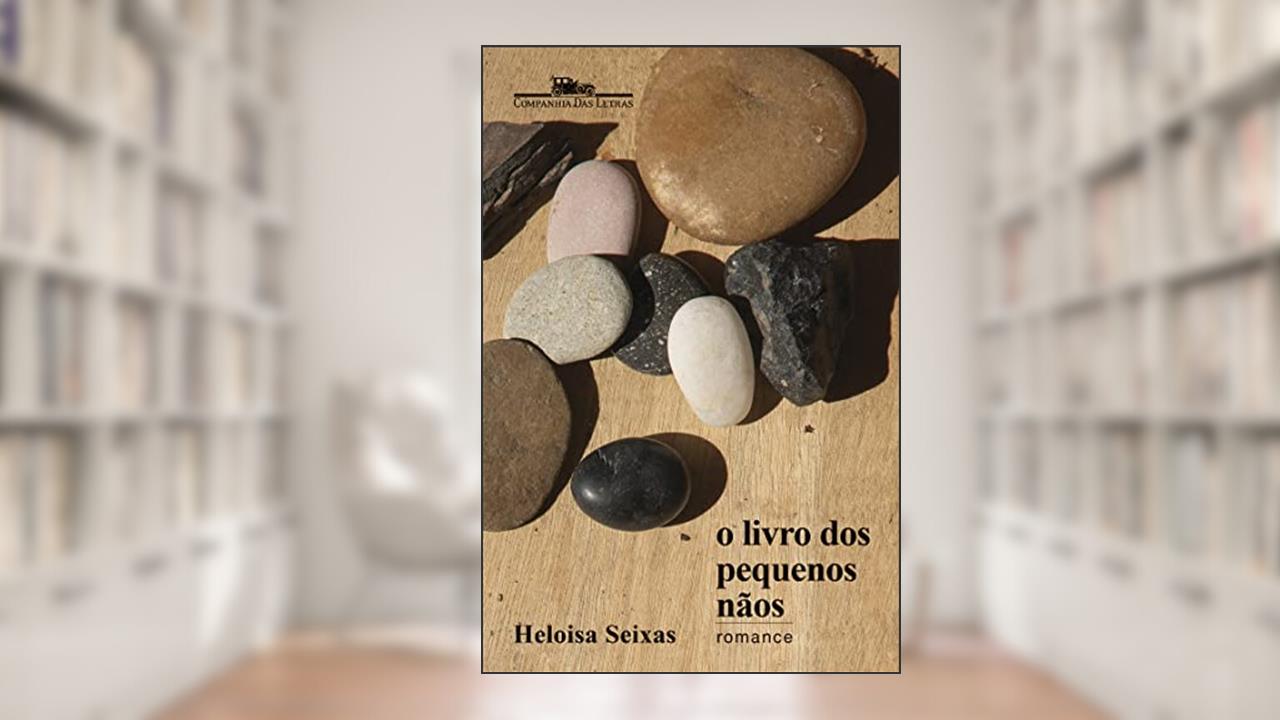 O livro dos pequenos nãos: Romance, do autor Heloisa Seixas