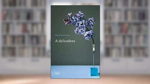 Capa de A delicadeza, do autor David Foenkinos