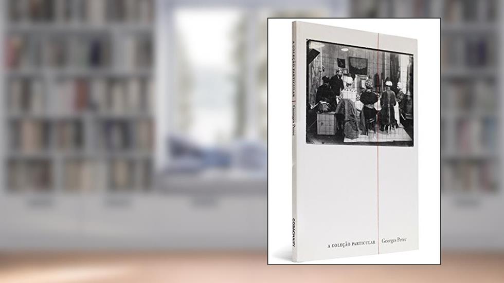 A Coleção Particular, do autor Georges Perec