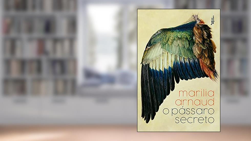 O pássaro secreto, do autor Marilia Arnaud