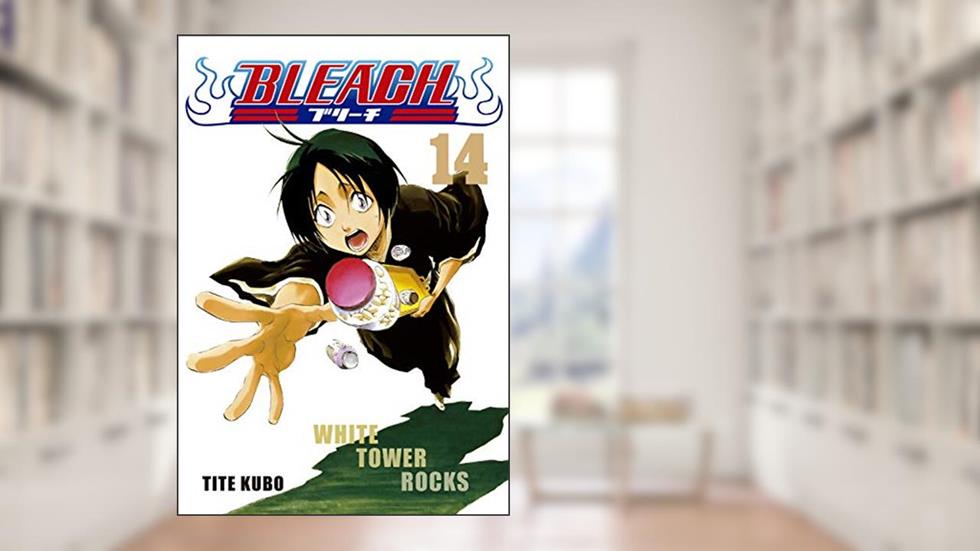 Bleach vol. 14, do autor Tite Kubo