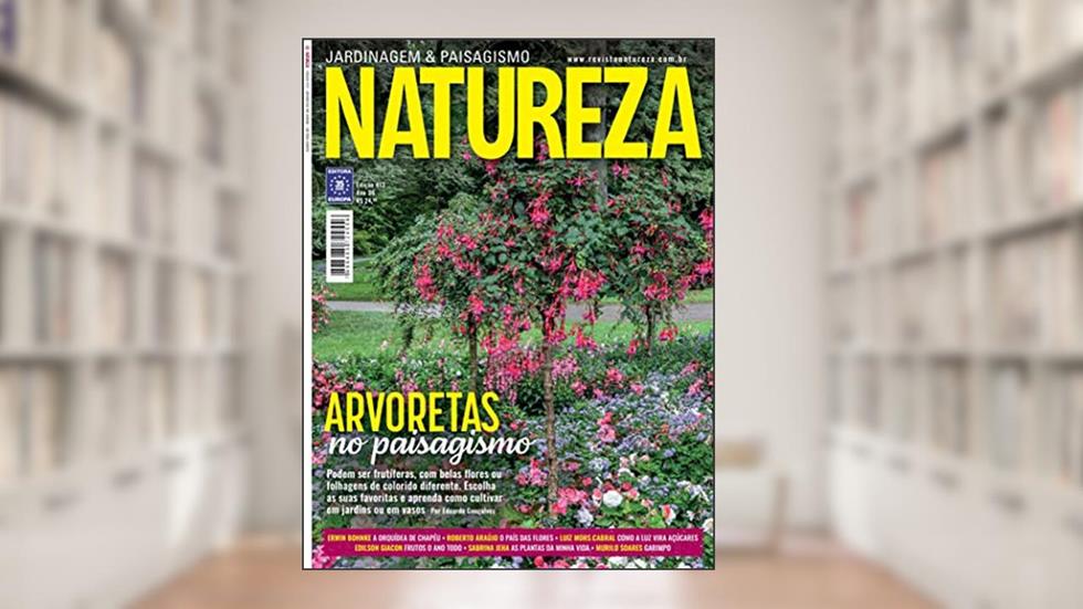 Revista Natureza 413, do autor Editora Europa