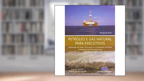 Capa de Petróleo e Gás Natural Para Executivos: Exploração de áreas, Perfuração e Completação de Poços e Produção de Hidrocarbonetos, do autor Sandoval Amui