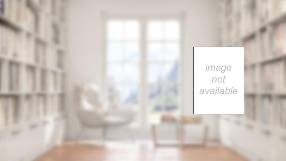 Vira e Mexe, Um Pet, do autor Divanize Carbonieri