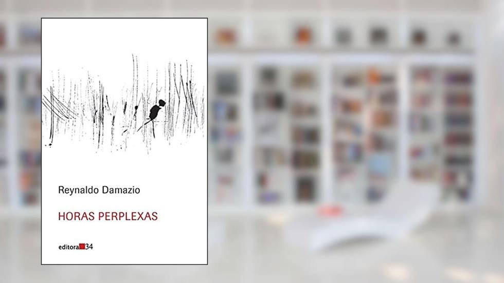 Horas perplexas, do autor Reynaldo Damazio