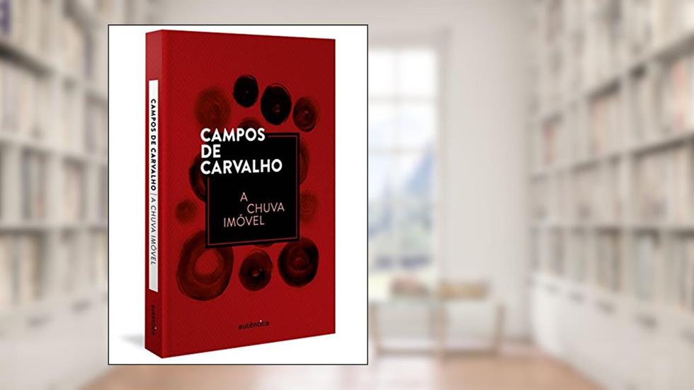 A chuva imóvel, do autor Campos de Carvalho