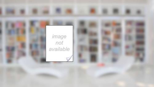 Capa de Queimadas. Perguntas e Respostas, do autor Sebastião Silva