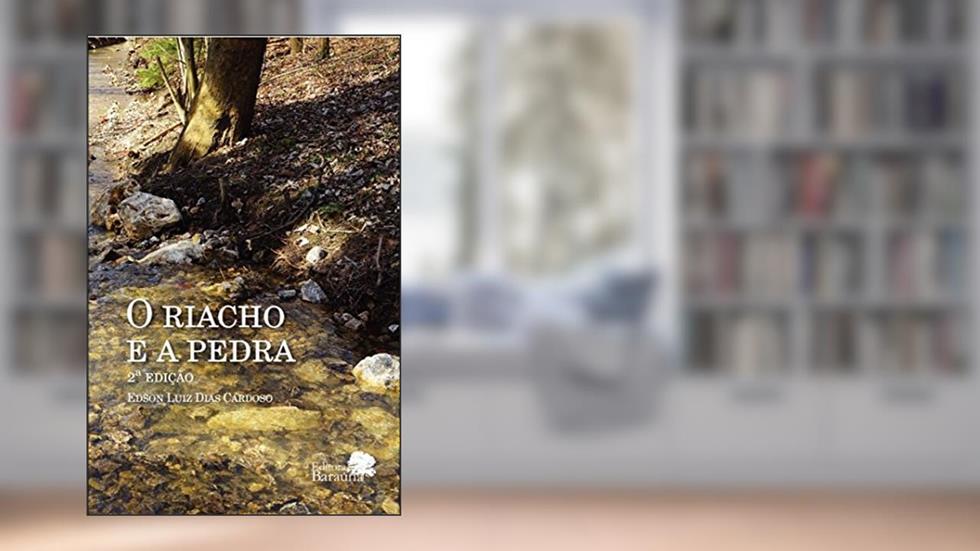O Riacho e a pedra, do autor Edson Luiz Dias Cardoso