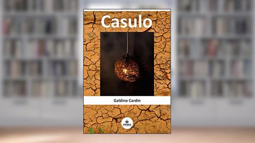 Capa de Casulo, do autor Galdino Cardin