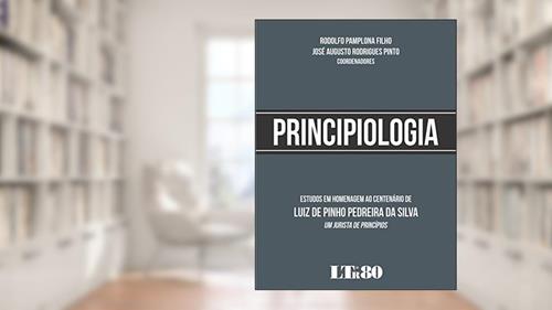 Capa de Principiologia, do autor Rodolfo Pamplona Filho; José Augusto Rodrigues. Pinto