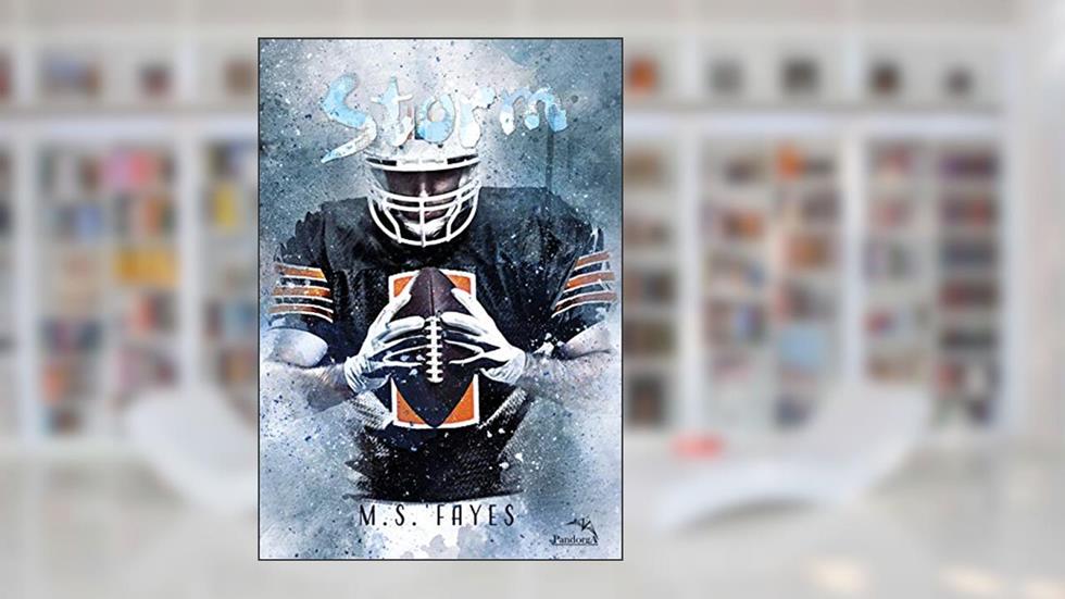 Storm, do autor M.S. Fayes