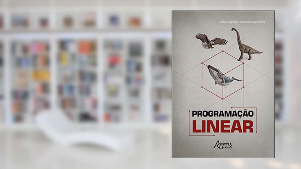 Programação Linear, do autor Marco Antonio Figueiredo Menezes