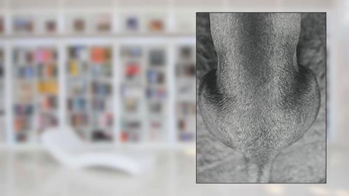 Capa de Vicente de Mello. Áspera Imagem - Coleção Arte e Tecnologia, do autor Vicente de Mello