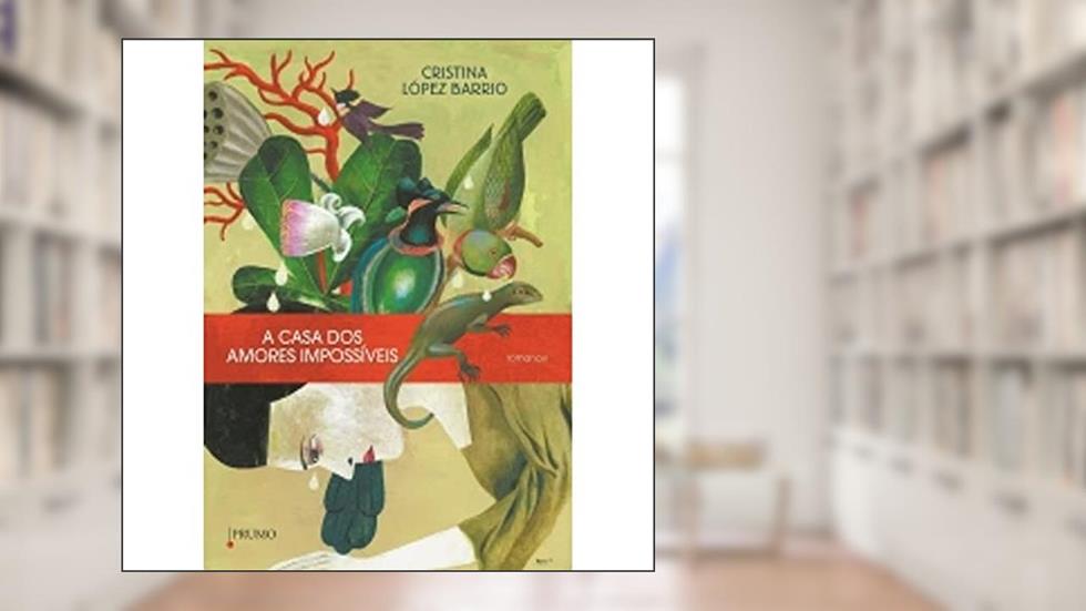 A Casa dos Amores Impossíveis, do autor Cristina López Barrio