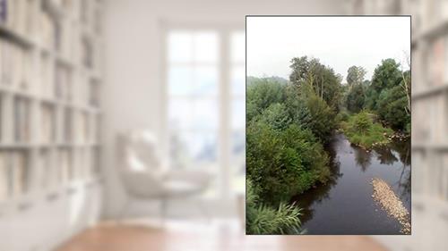 Capa de Derivadas: Matematica (Senhor dos aneis Livro 5), do autor Teresa Sofia Neves Guimaraes de Sousa