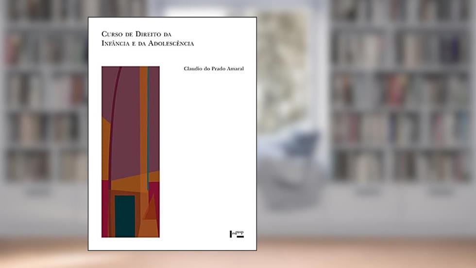 Curso De Direito Da Infância E Adolescência, do autor Claudio Do Prado Amaral