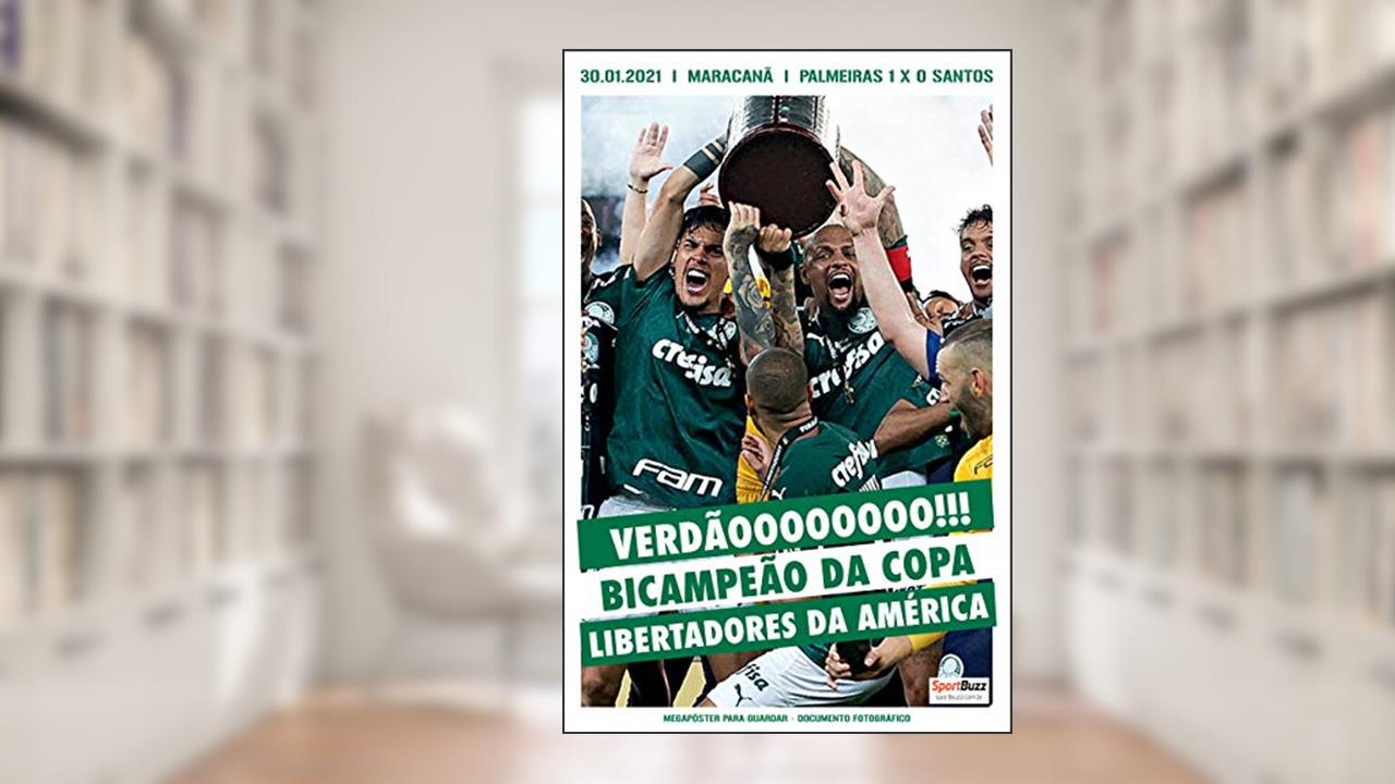 Megapôster SportBuzz - Documento fotográfico - Copa Libertadores da América - Palmeiras 1 x 0 Santos, do autor Grupo Perfil