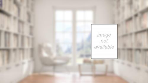 Capa de Ensino Desenvolvimental - Sistema Elkonin Davídov Repkin - Volume 1, do autor Andréa Maturano Longarezi