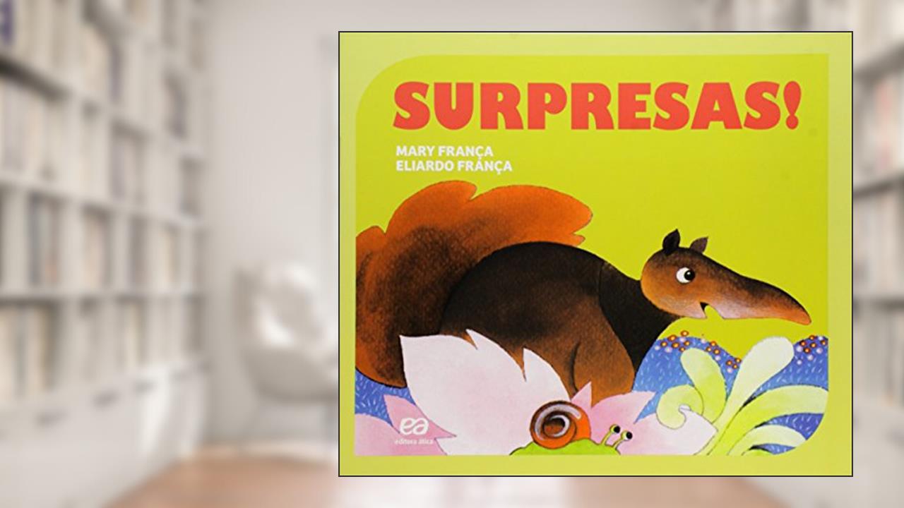 Surpresas!, do autor Mary França