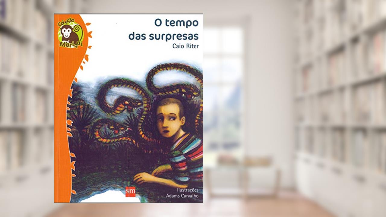 O Tempo das Surpresas, do autor Caio Riter