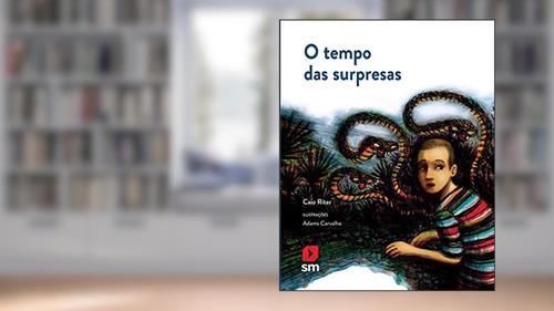 Capa de O Tempo das Surpresas, do autor Caio Riter