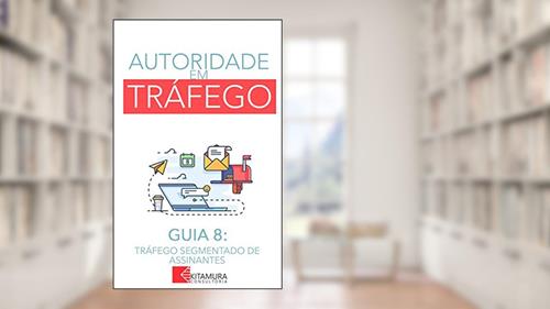 Capa de Tráfego Segmentado de Assinantes: Um Curso Completo em 8 Passos Sobre O Tráfego em Websites (Autoridade em Tráfego), do autor MEI Na Internet