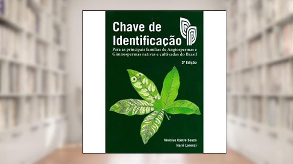 Chave de Identificação, do autor Vinicius Castro Souza