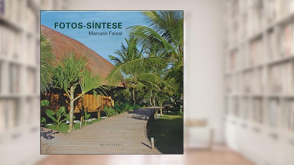 Fotos-Síntese, do autor Marcelo Faisal