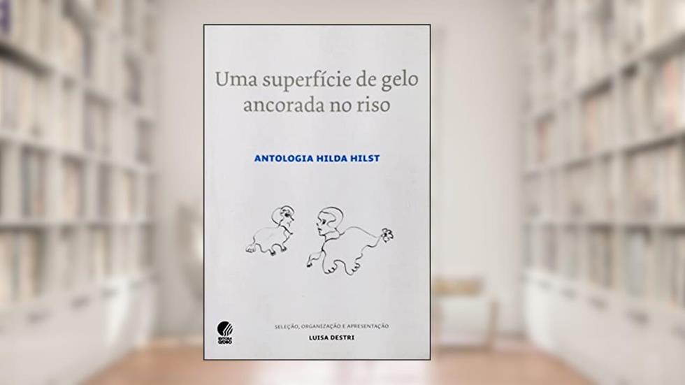 Uma superfície de gelo ancorada no riso, do autor Hilda Hilst