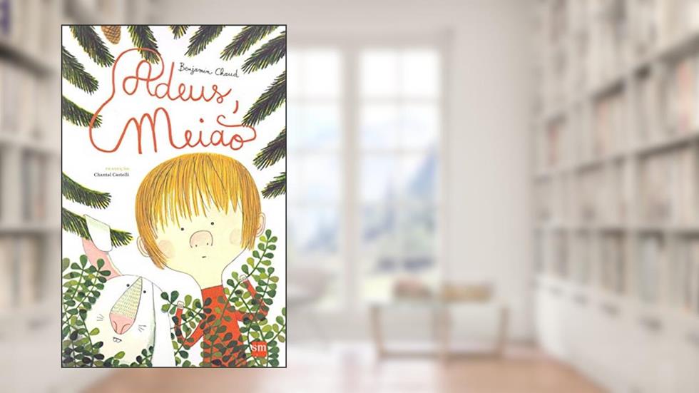 Adeus, Meião, do autor Benjamin Chaud