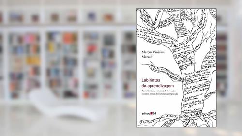 Capa de Labirintos da aprendizagem: Pacto Fáustico, Romance de Formação e Outros Temas de Literatura Comparada, do autor Marcus Vinícius Mazzari