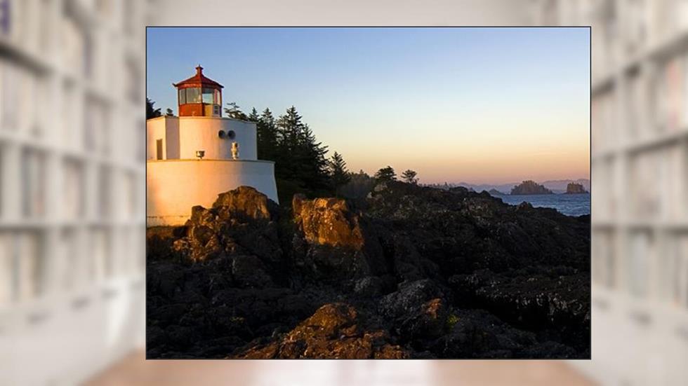 Lourival, o vendedor., do autor Clarice Pacheco