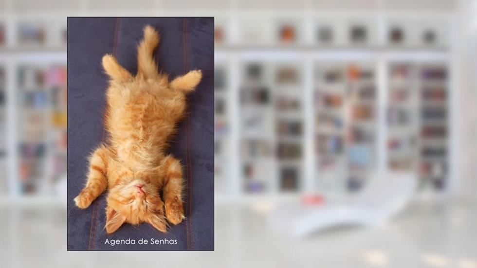Agenda de Senhas: Agenda para endereços eletrônicos e senhas: Capa gatinho ruivo a relaxar - Português (Brasil), do autor Agendas E Cadernos